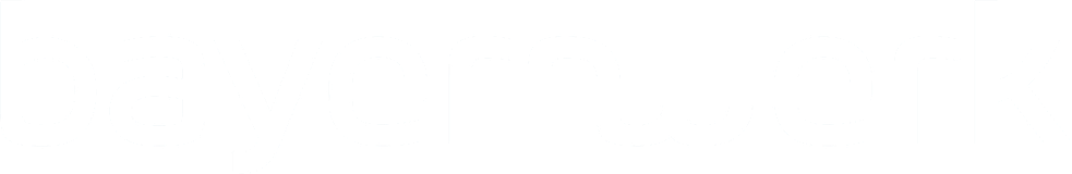 Bayernwerk Logo